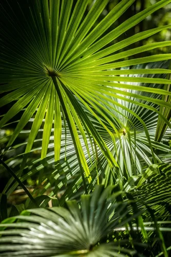 Krystalický vosk – čistý, etický a udržitelný zdroj