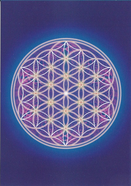 Květ života - obrázek