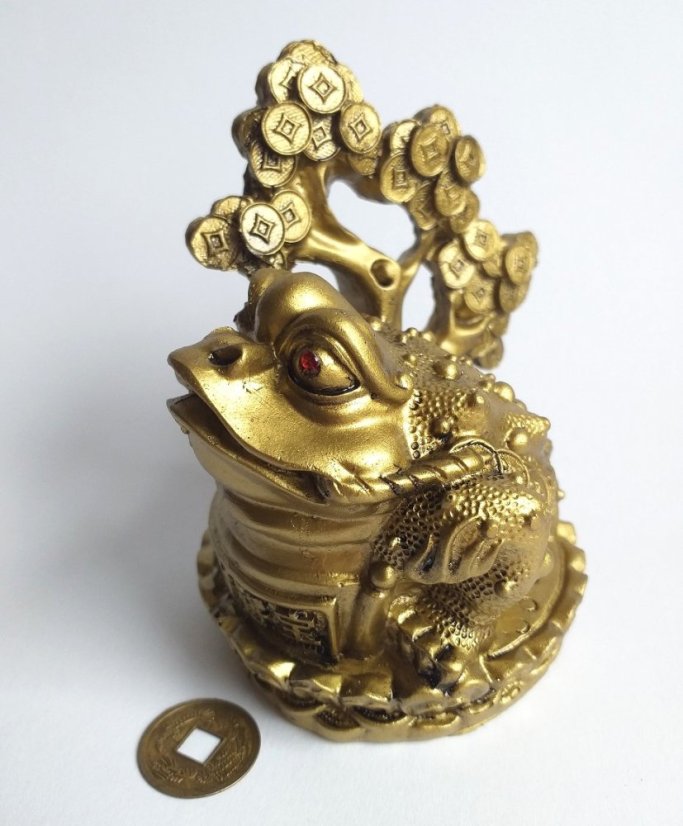 Třínohá žába se stromem života