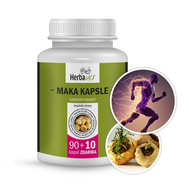 Maca kapsle