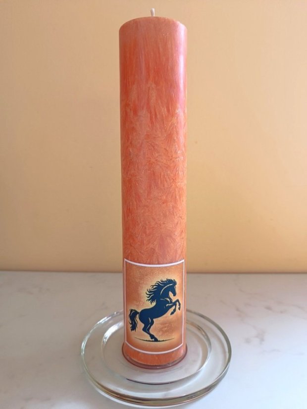 Svíčka Rok Koně 2026