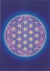 Květ života - obrázek